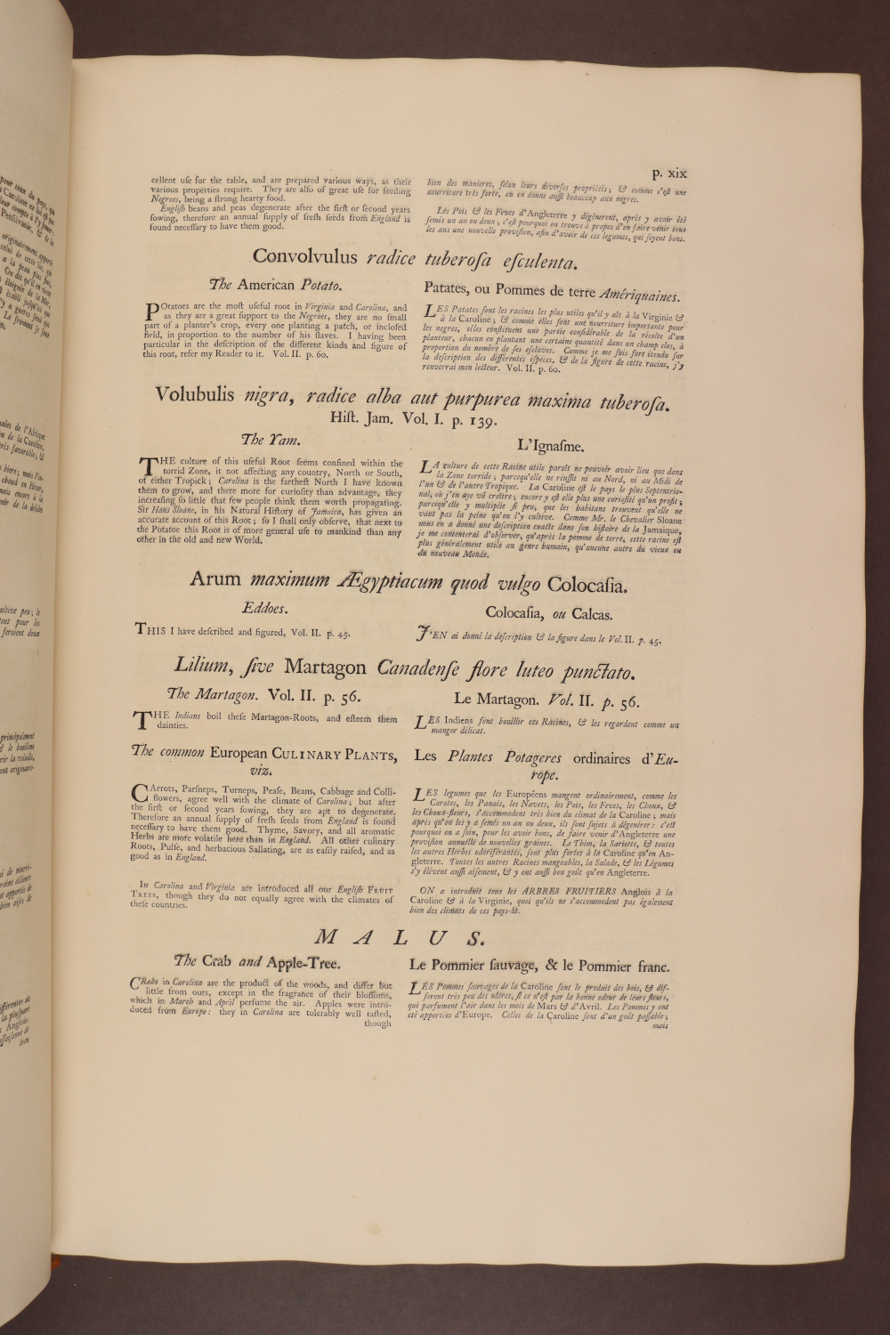 Page xix